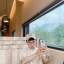 박성광 카카오 검색결과