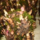 진순농장 이미지