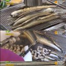 생생장어 이미지