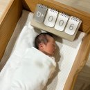 새문구방 | 출산 / 벨라 산후조리원 2주 자세한 후기 (신생아 케어, 방 만족도, 식사, 몸무게변화, 조리원 프로그램...