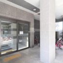 비발디의아침 이미지