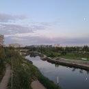 English Free Talking 이미지