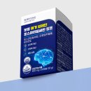 브레인생활건강 | 기억력개선 보령 메가브레인 포스파티딜세린 후기, 집중 흐름이 달라졌어요