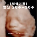 품안애 스테이 | [임신기록] 26주부터 30주까지의 이야기