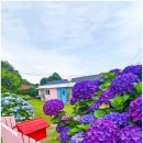 삼달민박 이미지