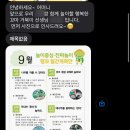 행꼬(행복한 꼬마 거북이) 이미지