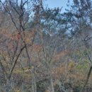 하천리-9 이미지