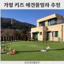 애견세계 | 아이와 함께하는 가평 애견풀빌라 운동장 수영장 여행 후기