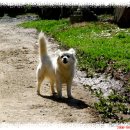 남양목장 이미지