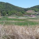 The전원공인중개사사무소 이미지