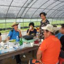 병근 농장 이미지