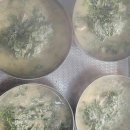 청해PC클럽 이미지