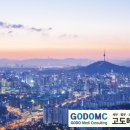 고도메디컨설팅