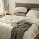 포근포근 이미지