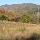 뉴랜드공인중개사사무소 이미지