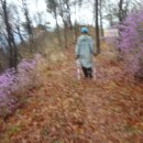 야은초등학교 이미지