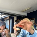 주희네 농장 | 워홀 60일차 드디어 잡을 구하다 !! 세컨비자 블루베리 농장으로 이동하는 날 ㅣ 브리즈번에서 콥스하버