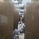 다락민박 | D-1~D-day, 추석연휴 여행, 인천공항 1터미널 다락휴, 타이항공 TG659 타고 방콕으로