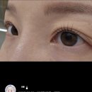 뮤즈브로우 | 세종 뮤즈브로우 속눈썹 펌 솔직 후기｜컬 지속력 만족