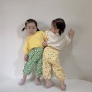 레츠비티 이미지