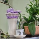 한국철도공사 보성역사 | 4월 시작 전 꼭 확인해야 할 국내여행 지원 혜택 총정리ㅣ신청방법·링크·환급까지 한눈에