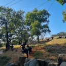 상아축산 이미지