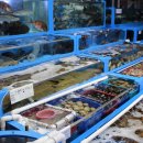 정희수산 이미지