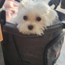 로프트317 이미지