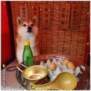 굿데이독 케어센터 이미지