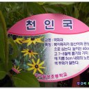 대구월성초등학교 이미지