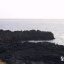 마라도 바다민박 이미지