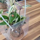 보담농장 이미지