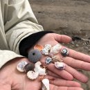 제주 아티스트 이미지