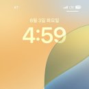 강릉바이크렌트