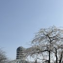 제주 서귀포 여미지식물원 산책 코스 후기 내돈내산