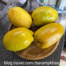 (7/17)산딸기 식초 만들기 | 동글이 미술놀이 1789 ㅡ (요리활동) 모과차&amp;모과생강차(feat. 처음 담급니다.ㅋㅋㅋㅋ)