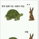 토끼와거북이 이미지