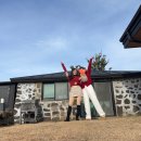 세화수목 이미지