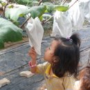 영현농장 이미지