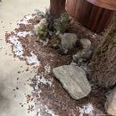 현대오토바이 | 청주 가볼만한곳 커넥트현대청주 크리스마스 공방(ATELIER DE NOEL) 및 가챠샵 액션(ACTION) 방문후기