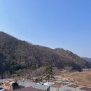 초롱마을(아)경로당 | [홍천] 신생 애견 동반 캠핑장, 오도치 캠핑장 A13번 후기