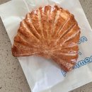 오로지김치한포기 이미지