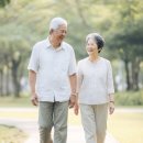 위례중앙내과외과의원 | 위례경동맥초음파로 살펴보는 뇌졸중 위험 신호 경동맥 협착과 동맥경화 조기 점검 가이드