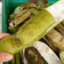 기청농장 이미지