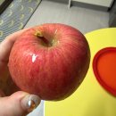 정들농원 | [정담아농원] 겨울철 최고의 간식, 정담아농원 부사사과 후기 🍎