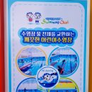 스위밍차일드