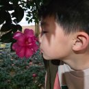 왕궁포레스트 | 익산 왕궁포레스트 투어패스로 다녀온 후기 아이랑 추천 관광지