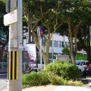 제주남초등학교 병설유치원 이미지