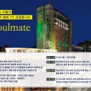 솔페