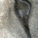 사천까샤126펜션 이미지